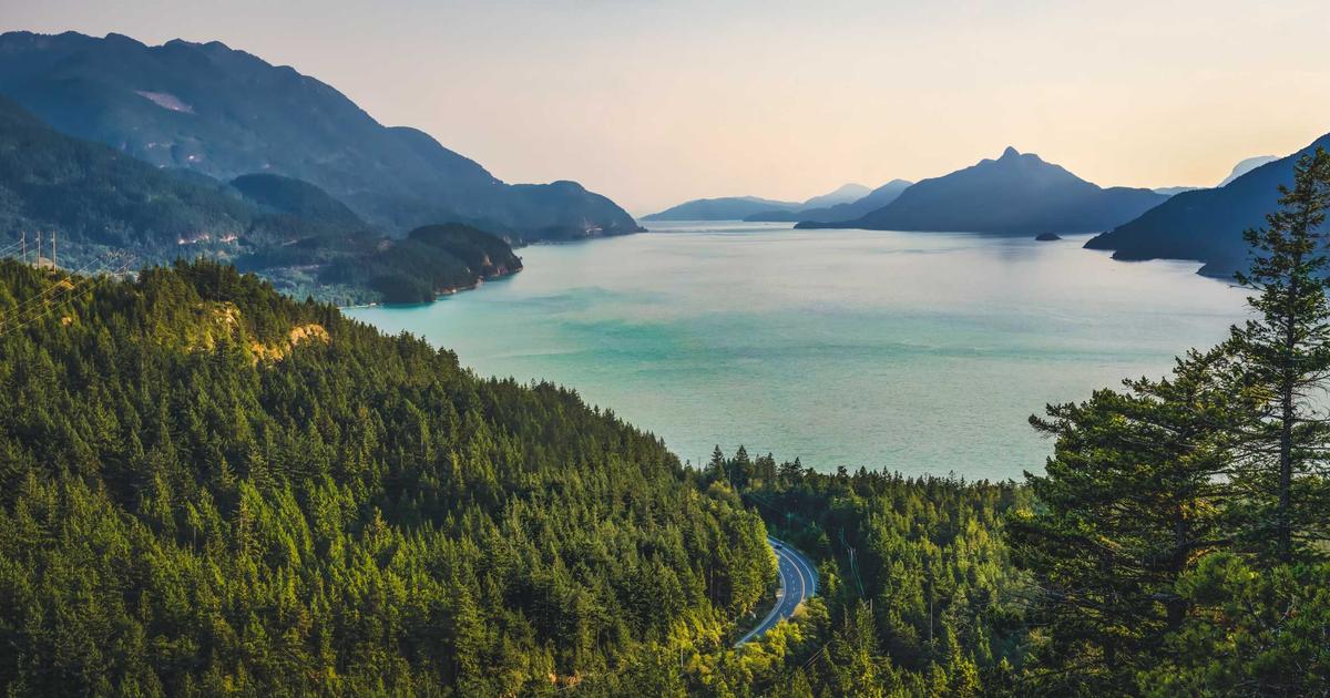Finding a Dispensary Near Me: A Local’s Guide to Smarter Cannabis Shopping
